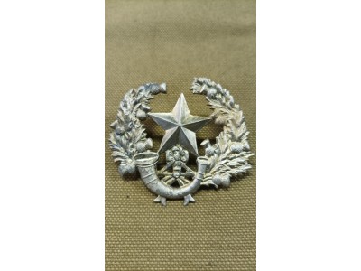Čepicový odznak skotských střelců regimentu Cameroinians